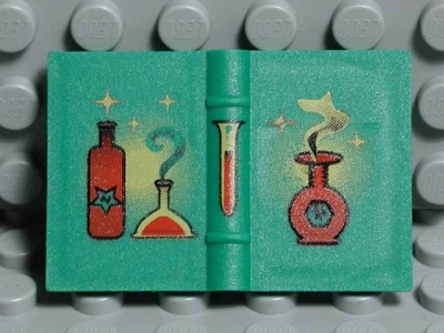 Lego Minifigur Buch (33009px1)